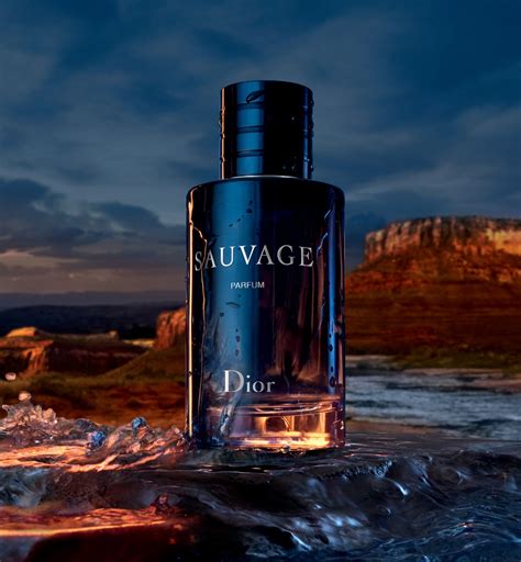 zamienniki perfum dior|dior cologne sauvage.